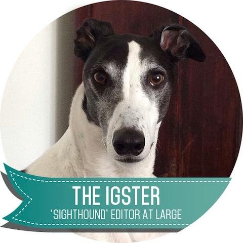 Sighthounds - just sharin' the love
