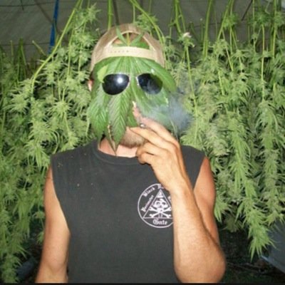 bitchuathot's profile picture. 