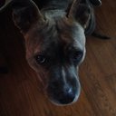 Priscilla Connors - @pconnorsphd - Twitter