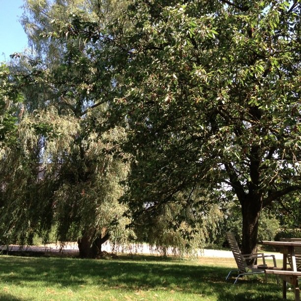 paulin_duclos's profile picture. 