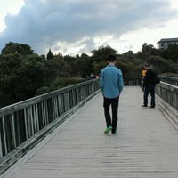 Jason Susanto (@jason_susanto) Twitter profile photo