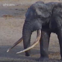 marlene speers - @marlenespeers1 - Twitter