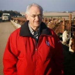 Beef cattle production management veterinarian at the University of Nebraska Great Plains Veterinary Educational Center