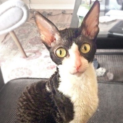 Just leave me alone, mom.