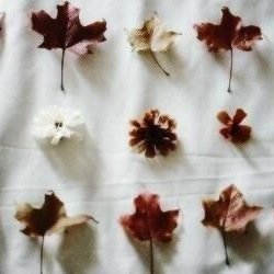سبحان الله وبحمده سبحان الله العظيم