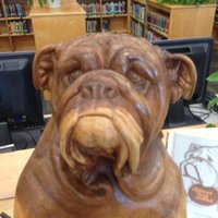 Bayside Bulldogs(@BaysideBulldog) 's Twitter Profile Photo