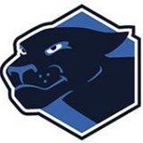 BidPanther Profile Picture