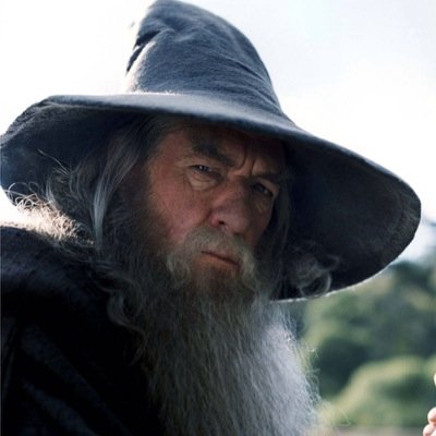 FOOL OF A TOOK