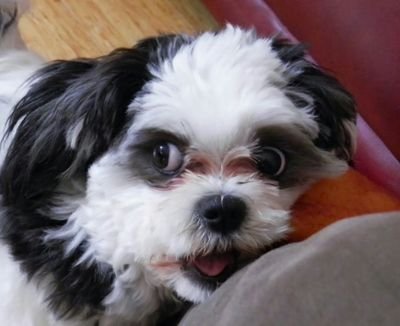 sechelt8's profile picture. 