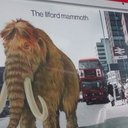 Julie Brazier - @brazier_julie - Twitter