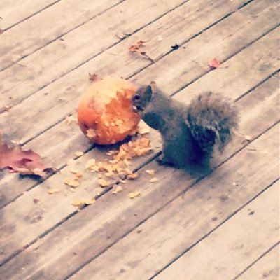 bfrank3278's profile picture. 