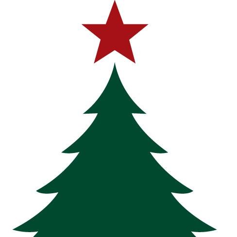The Saint Alphonsus Festival of Trees is a long-standing Treasure Valley holiday experience that benefits the health of our community.