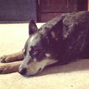 Lisa Acord - @lacord67 - Twitter