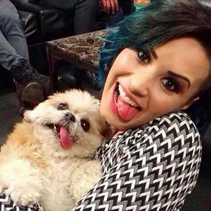 isso Aqui NÃO é Uma Bio Funny , Isso é Um Pedido De Socorro . POR FAVOR ME TIRE DESSA VIDA DE LOVATIC :')