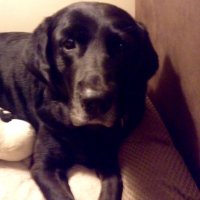 Marie B (@marieterry26) 's Twitter Profile Photo Marie B (@marieterry26) 's Twitter Profile Photo