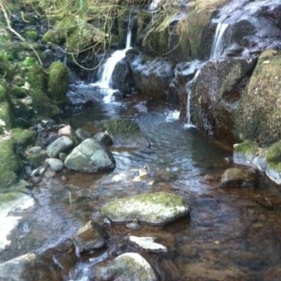 Ecosystem ecologist getting into marine data science.