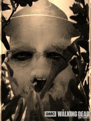 ChadMccoll's profile picture. walking dead fan