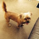 Sandra Sharples - @ssharples36 - Twitter