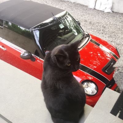 S4Evans's profile picture. 