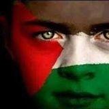 otaku_mr77's profile picture. 