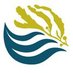 Sargasso Sea Commission (@sargassoseacmsn) Twitter profile photo Sargasso Sea Commission (@sargassoseacmsn) Twitter profile photo