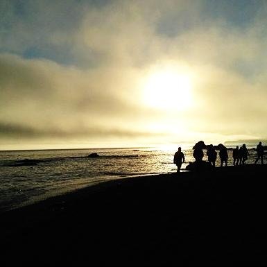 geminidreame1's profile picture. Cory Monteith fan, miss him every single day.  #rememberingCory #rememberingFinn #CorysLoveLivesOn #MonteithFans4WoodwynnFarms