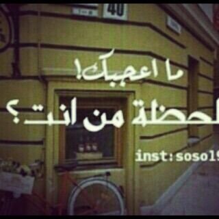 Joory1597