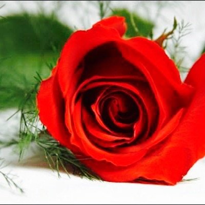 122644's profile picture. I enjoy writing poetry! Thoughts reflecting on Life, Love, & Spirituality.