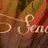 SendasArtesania's profile image