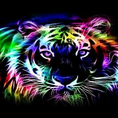 5ffba1f99e4246e's profile picture. 