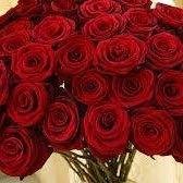 mohammedkafafi's profile picture. 