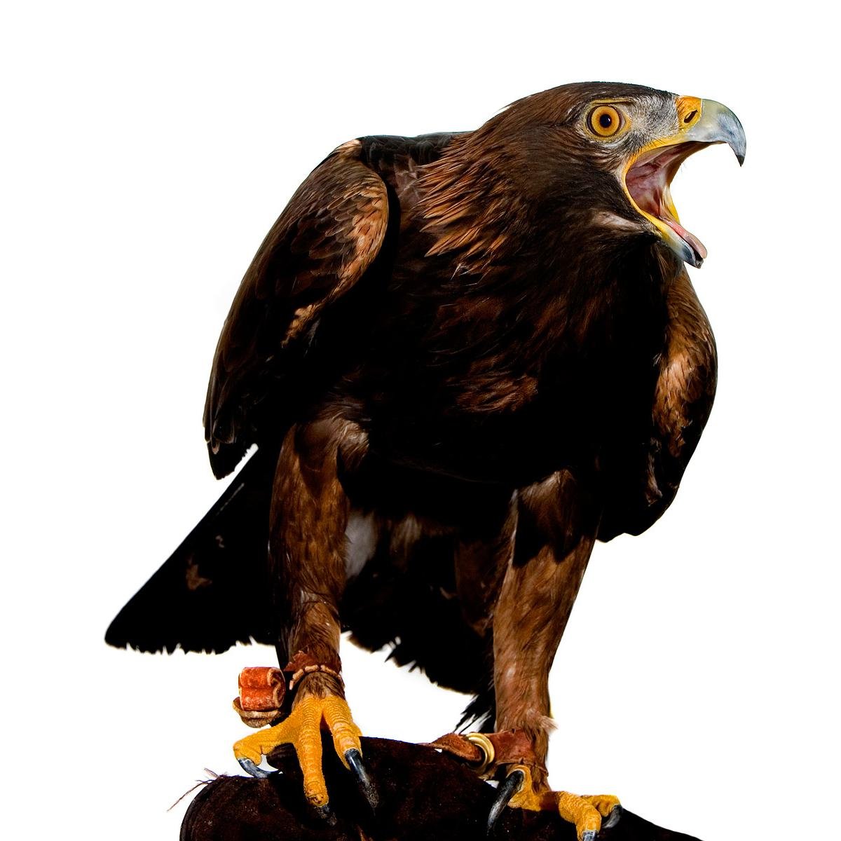 SCM_TX's profile picture. 