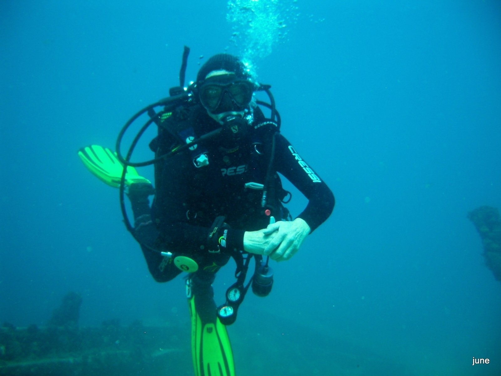 JuneJunerobbins's profile picture. 🐙🐠🌎🐝