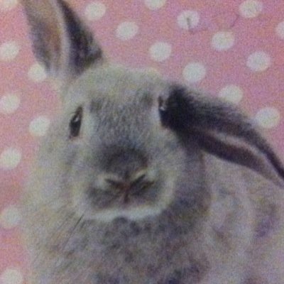 CWeechloe's profile picture. i have a crush on someone??