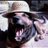 danilovic26's profile image
