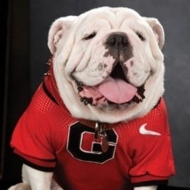 unstableGABoy's profile picture. I'm   just a good ol' country boy    in love with  someone amazing