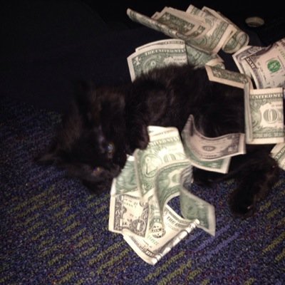 just a frat cat living the dream.