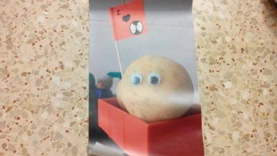 Ingeniera, fundadora de FERUCOM Iberoamérica S.L. (comercializar de repuestos para cosechadoras de patata, tomate, remolacha, cebolla), esposa y madre.