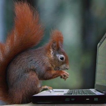 xoxo_GsspSqrl's profile picture. Hey South Oaklanders, Gossip Squirrel here -giving you the 411 that'll make you go nuts! You know you love me xoxo GS