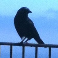 Ayanna Monteverdi (@ayannamonte) 's Twitter Profile Photo Ayanna Monteverdi (@ayannamonte) 's Twitter Profile Photo