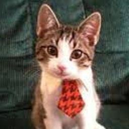 En el Mundo del Abogato todo puede pasar. Soy el Abogato... Y TU ERES UN ABOGATO?