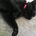 Michaela.Payne - @MichaelaPayne27 - Twitter