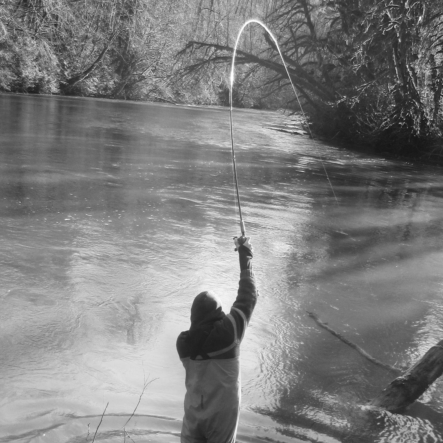 B.Sc - Biology, salmon and trout enthusiast, fisherman, researcher, steward, responsible fisheries advocate.