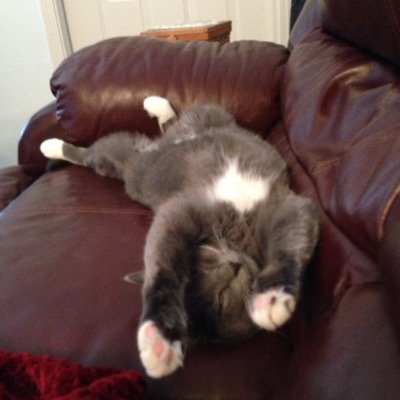 ilovebirchlake's profile picture. 