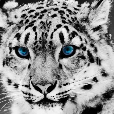 Showing you the true beauties of nature