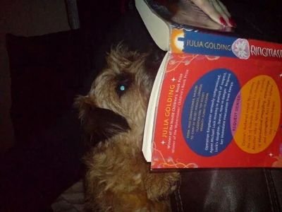 I'm an independent Usborne Book Seller in East Lancashire! Contact me if you would like to book a party,order books or for more info