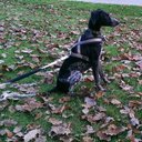 Alexander Ney - @alexanderney92 - Twitter