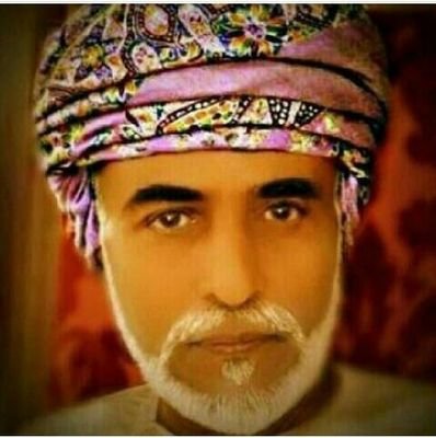 alghamari81's profile picture. 