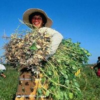 Adaptation Learning (@almplatform) 's Twitter Profile