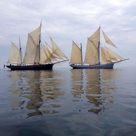 Join the crew of Irene and sail back in time on one of the last West Country Trading Ketches still sailing. Fabulous experience, great people, excellent food!